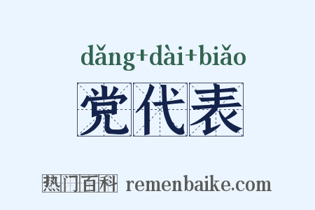 党代表是什么意思的图片